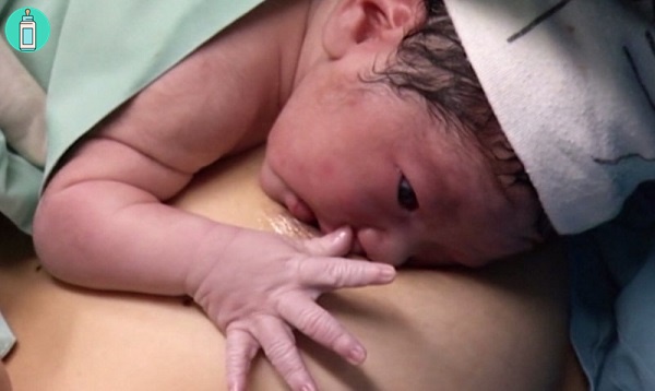 24 giờ đầu tiên - Da kề da với em bé sơ sinh