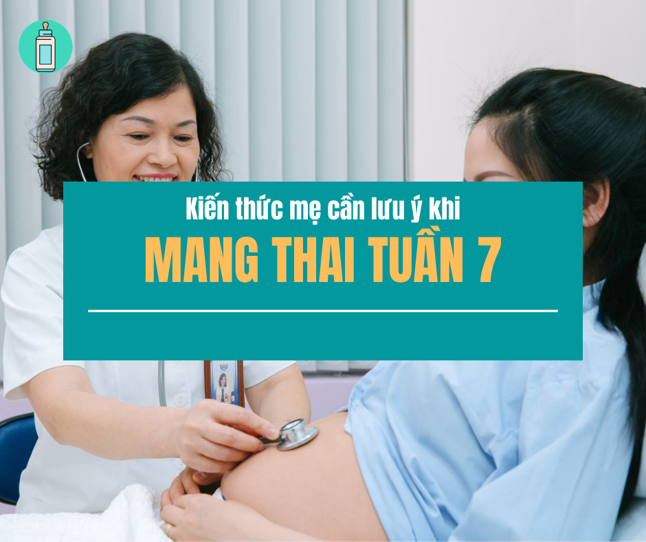 Một số kinh nghiệm mang thai tuần thứ 7 dưới đây sẽ giúp mẹ có những sự chuẩn bị tốt nhất trong giai đoạn mang thai này.