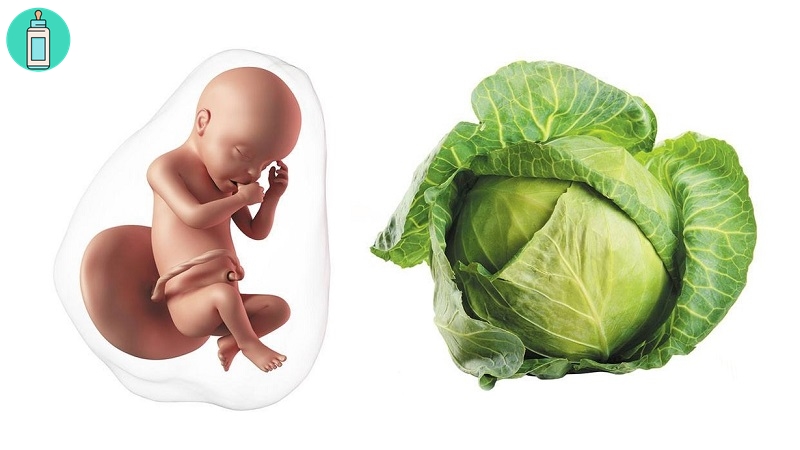Mang thai tuần thứ 30: Sự phát triển của bé có gì đặc biệt?