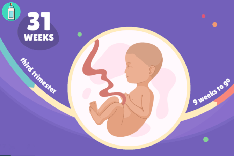 Mang thai tuần thứ 31: Sự phát triển của bé và lời khuyên cho mẹ