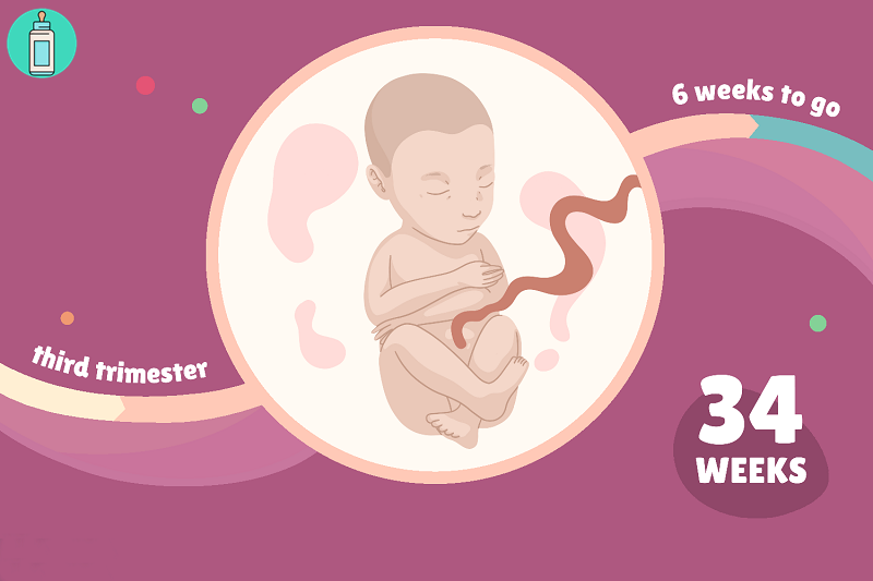 Mang thai tuần thứ 34 - Kiến thức cần thiết dành cho mẹ