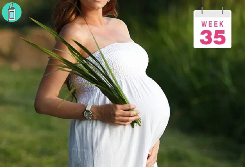 Kiến thức cho mẹ bầu mang thai tuần thứ 35