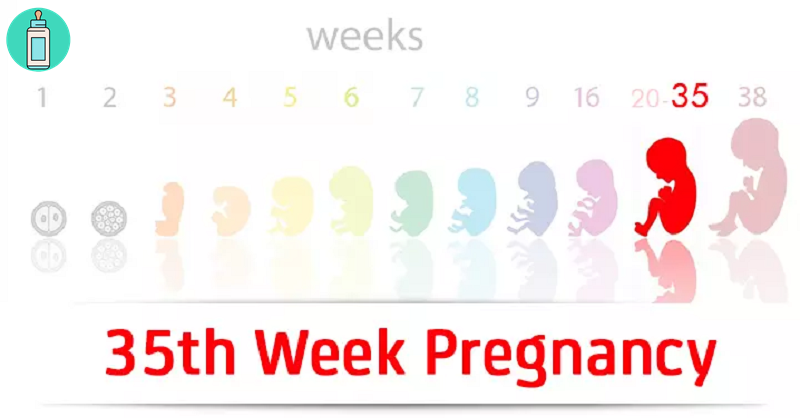 Kiến thức cho mẹ bầu mang thai tuần thứ 35