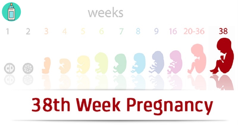 Mang thai tuần thứ 38: Thai nhi đã vừa đủ tháng và lời khuyên cho mẹ